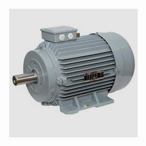 Kirloskar Electric Motor suppliers in Pune