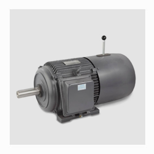 Electric Motor suppliers in Pune