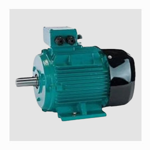 Crompton Greaves Electric Motor suppliers in Pune